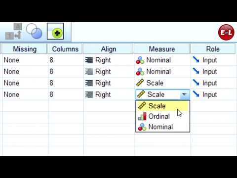 Learn SPSS All Versions for Beginner (Easy and Fast Learning)