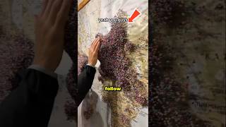 “Everyone Leaves a Pin Here”....(@quenchyouradventure)