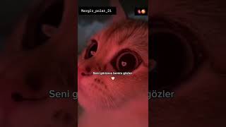 Seni Görünce Benim Gözlerim Böyle Oluyor