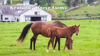 Visiting Kentucky Horse Farms