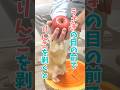 うさぎの目の前で豪快にリンゴを剥いた結果が可愛すぎた。 #rabbit #bunny #うさぎ #うさぎのいる暮らし #ネザーランドドワーフ #cuteanimals