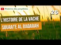 26 moussa et lhistoire de la vache sourate al baqarah  partie 8