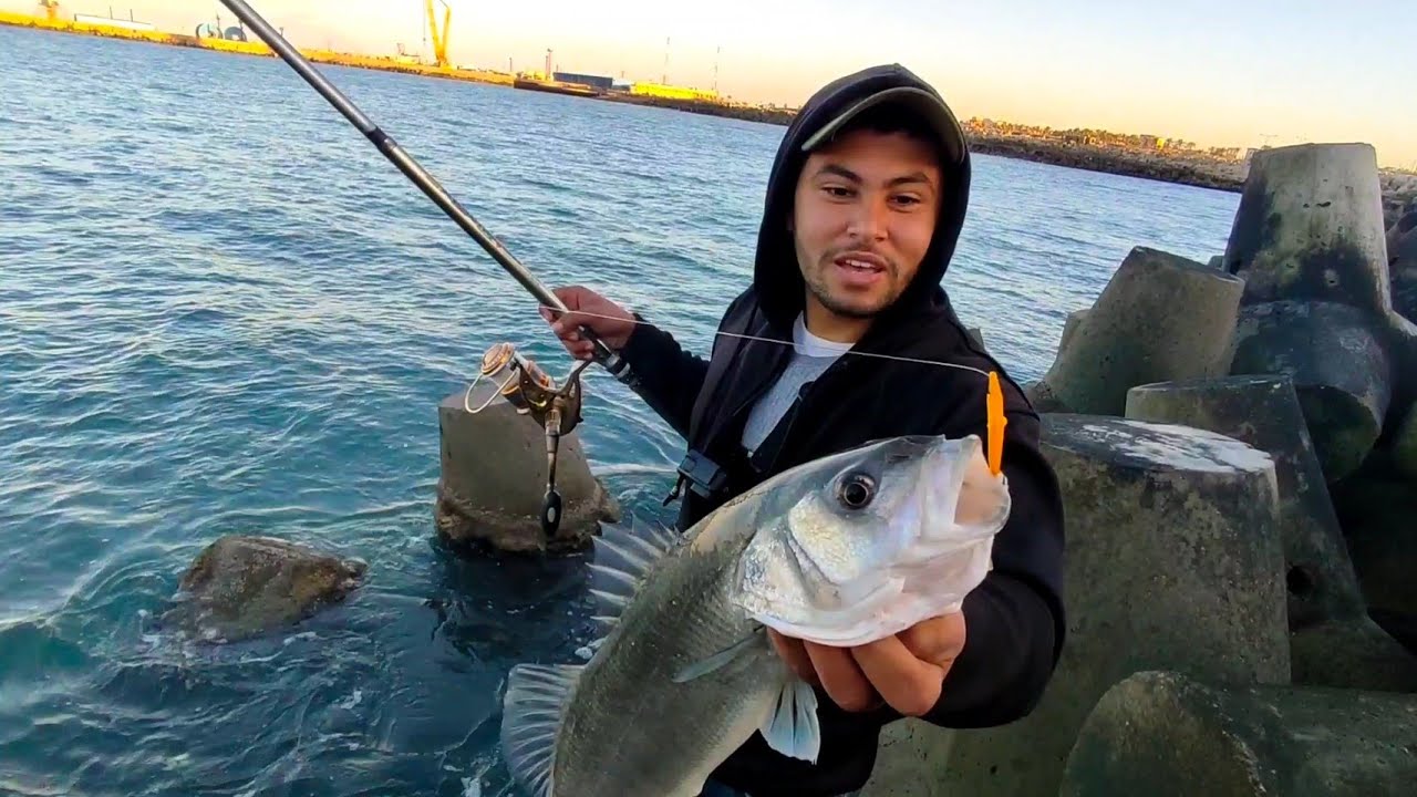 بعد محاولات عديدة تمكنا من صيد الوحش بهذه الطريقة