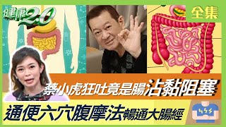 蔡小虎狂吐竟是腸沾黏阻塞！大便減少、沒排便 小心腸阻塞致敗血症！不只腸道有糞石 胃痛腹脹竟是胃結石！健康2.0 20230409【完整版】 鄭凱云 許秉毅 吳宏乾 劉怡里 洪素卿 彥寬