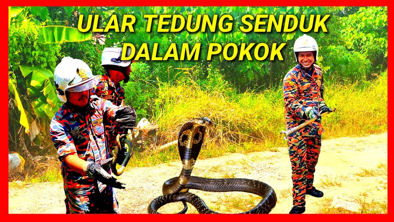 Xususiy etuk jinsiy aloqa video