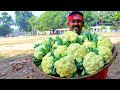 Famous Ruhi Fish Curry Cooking & Eating with Tribe Village People in Cowpahari Jangal, West Bengal