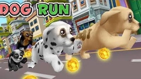 Dog Run Game : Puppy Running Game : pet love | Android/ios Gameplay HD - Game star video - Dog games