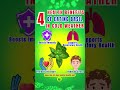 4 Health Benefits of Eating Basil in Cold Weather #basilbenefits #shortsfeed