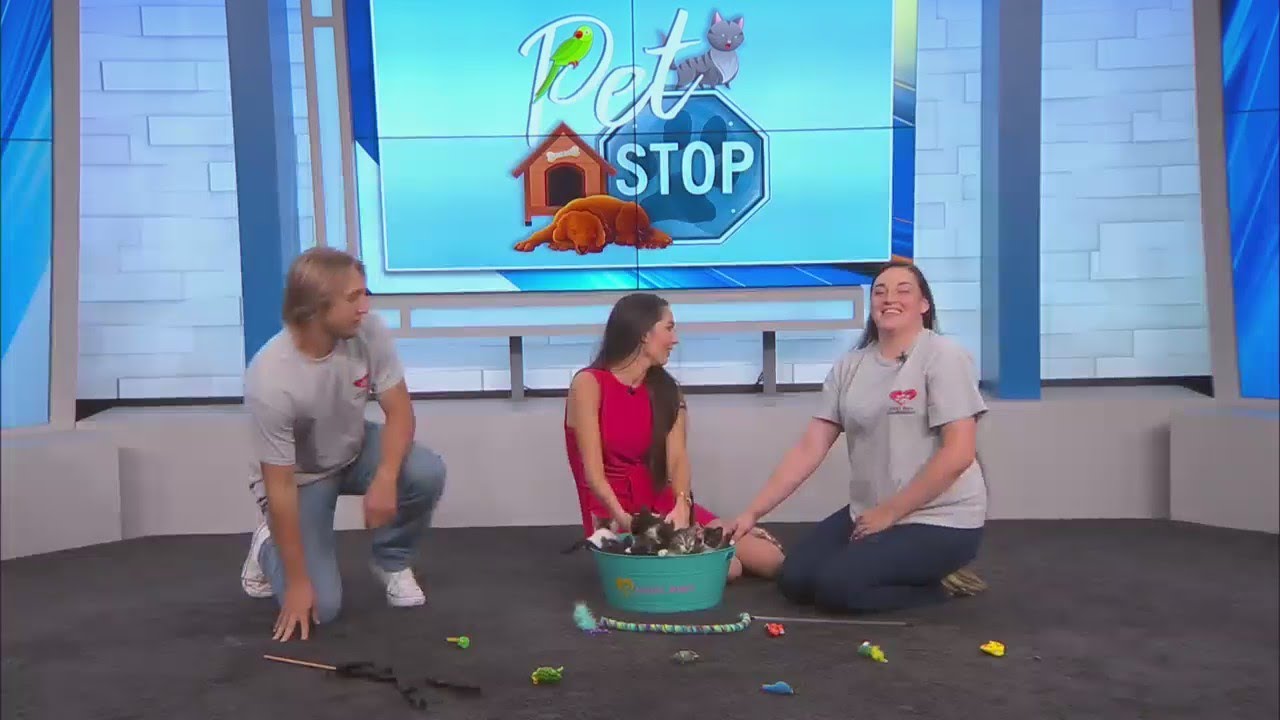 The Pet Stop Friday Sept. 23 YouTube