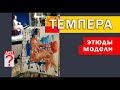 564 Этюды модели темперой