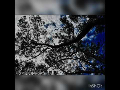 Nida - Oğuzhan Değerli ( Deeperise & Burak Akyol  Cover )