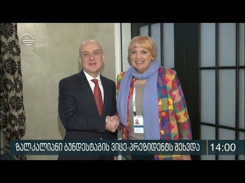 დავით ზალკალიანი ბუნდესტაგის ვიცე-პრეზიდენტს შეხვდა