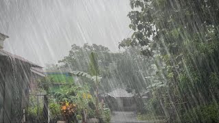 Best rain sounds for insomnia sleeping within 10 minutes relax sleep, super heavy rain in my village