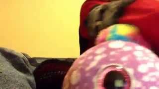 Aint It Fun-Paramore Beanie Boo Version With Holly,Skylar,Legs And Ollie