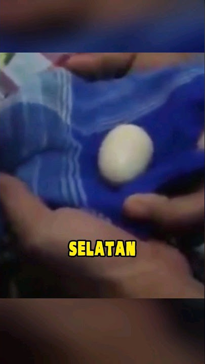 kisah viral bocah bertelur dari sulawesi selatan 🗿 #short