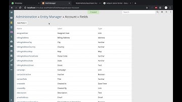 EspoCRM Mask Field