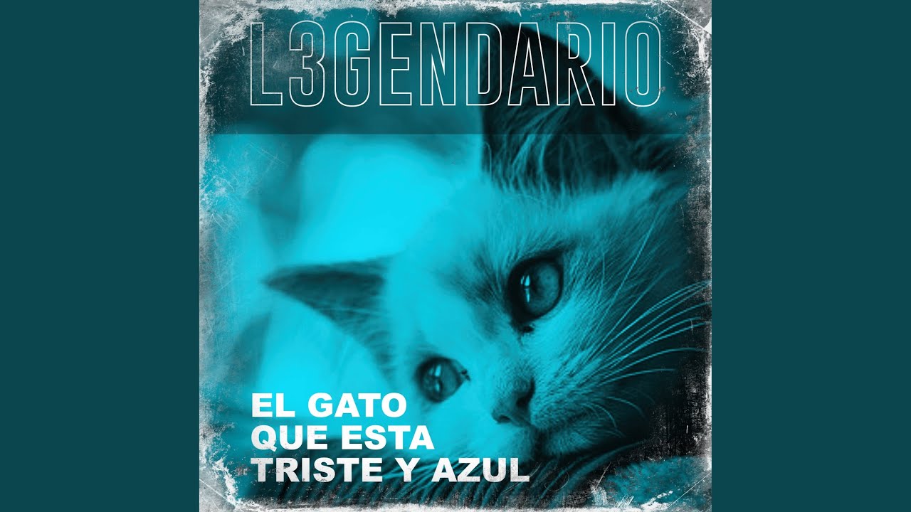 El gato que esta triste y azul - YouTube