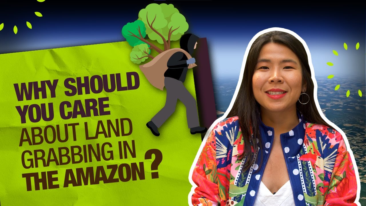 Amazoniar | The role of the international community in combating land grabbing in the Amazon