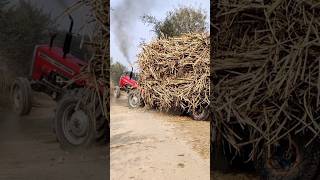 Massey Tractor Carrying heavy Load#viral #youtubeshorts #shortfeed