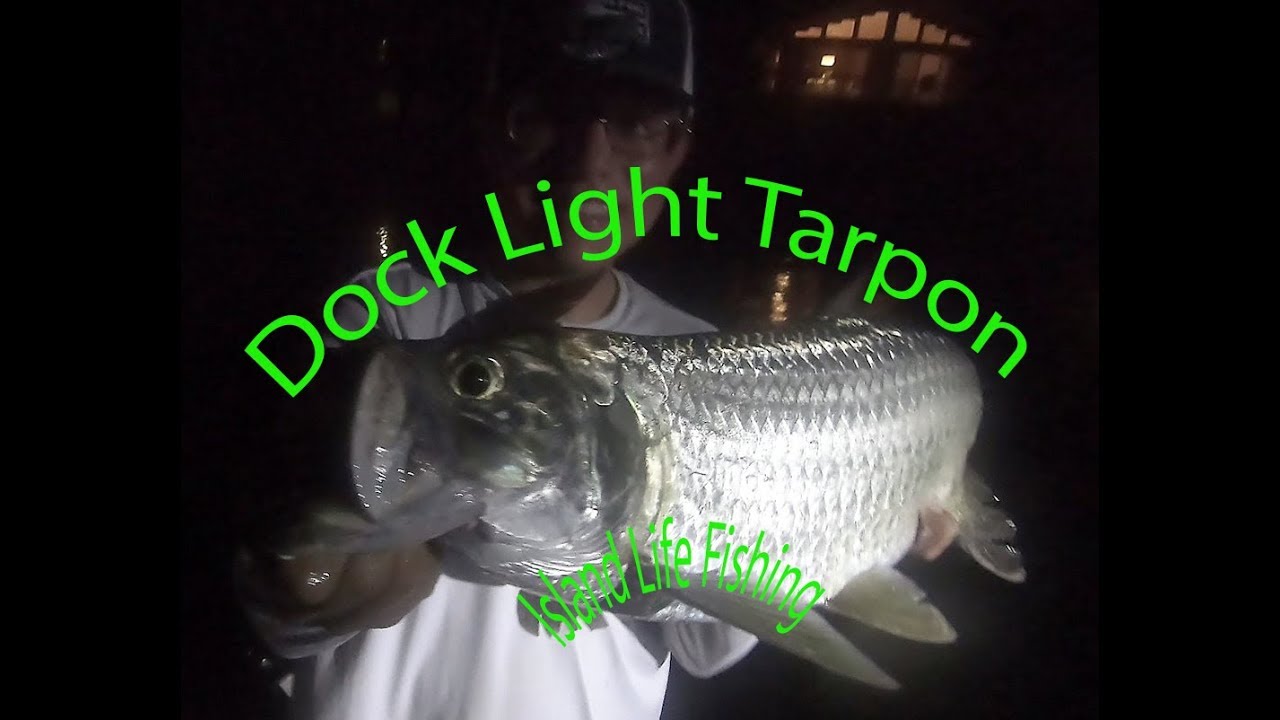 FISHING DOCK LIGHTS IN THE FLORIDA KEYS 