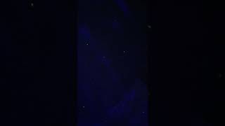 IMG 0341 IMG 0341