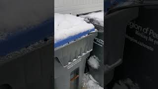Opening Frozen recycle bin #snowstrom