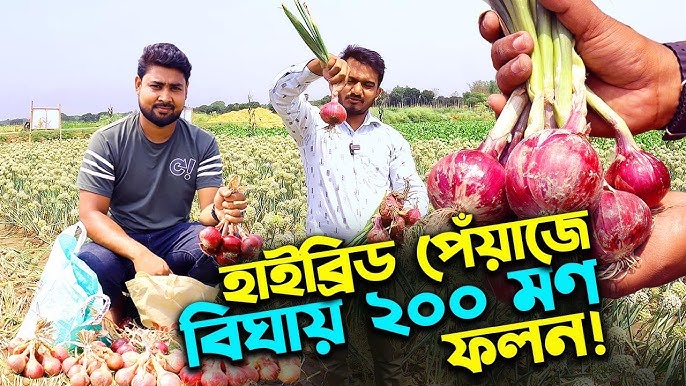 Ingliz tilida silikon kokrak Mushuk va vaginaning pornografik fotosuratlari bilan ginekologik tekshiruv