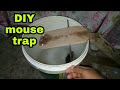 DIY mouse trap/ rat trap | MAYNARD COLLADO