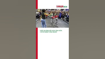 [TĐHNN] - CUỘC SO GĂNG ĐẦY KỊCH TÍNH GIỮA 2 VÕ SĨ ROBOT HÌNH NGƯỜI #humanoidrobot  #news  #robotics