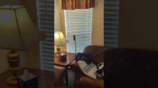 Bose Soundbar Ultra Surrounded Speakers (Stereo Test)