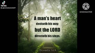 MORNING PRAYER  ---- Proverbs 16:9 -----
