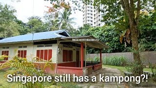 I visited Singapore's last kampong...and it was so peaceful #Kampong #LorongBuangkok