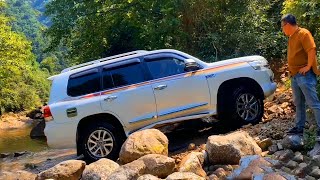 Toyota Land Cruiser GXR V8 4.6L vs GWM Tank 300 2.0L Turbo vs Jeep Wrangler Rubicon Off-road Driving