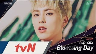 [2018 MAMA] Best Unit Group Nominees