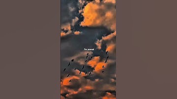 Ocean eyes - Billie Eilish 🥀 | aesthetic | english song | song | WhatApps Status | shorts