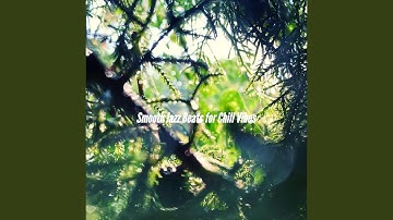 Pulsating Waltz - Vibe for Chasing Perfection