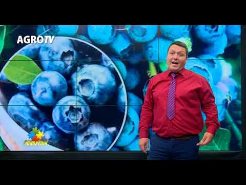 Video: De Ce Este Utilă Fructul De Padure Irga?