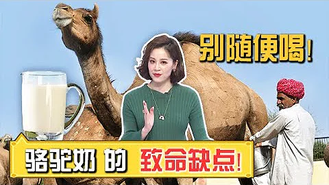 喝駱駝奶中毒!? 什麼人不適合喝駱駝奶? 謠言駱駝奶包治百病 專家揭露真相【我們退休啦】 - 天天要聞