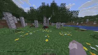 Minecraftplugins.org demo - ChairSittin