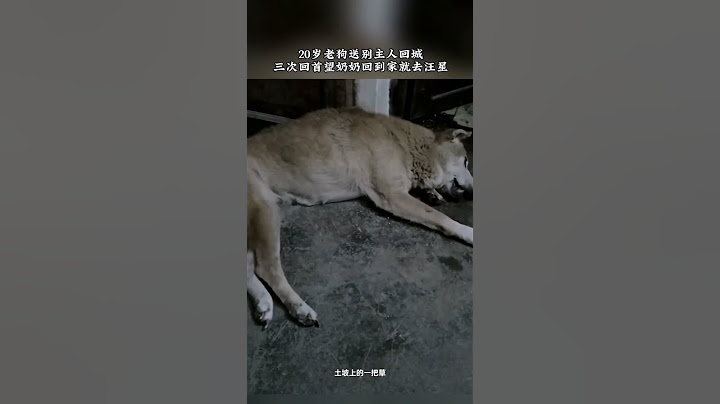 #土坡上的狗尾草  20岁老狗送别主人回城  三次回首望奶奶回到家就去了汪星#狗狗的灵性超乎人类的想象 #有灵性的狗狗