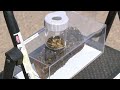 Golden Mussel Response Act heads to California governor