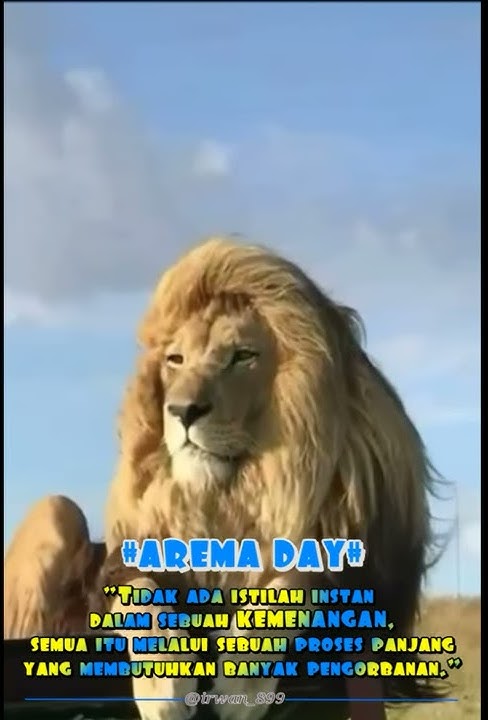 Story WhatsApp AREMA DAY