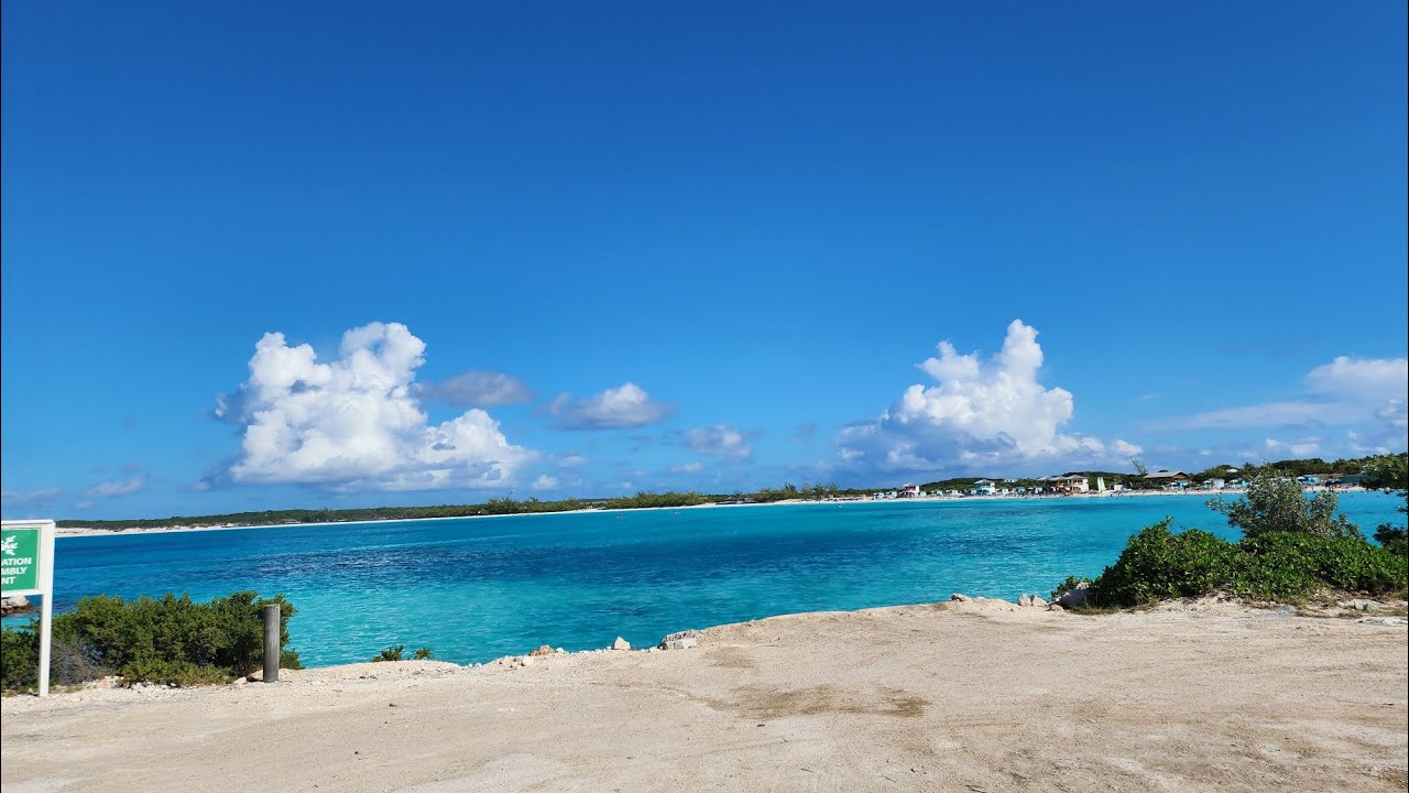 Jumping into the Caribbean 🌊🌴 