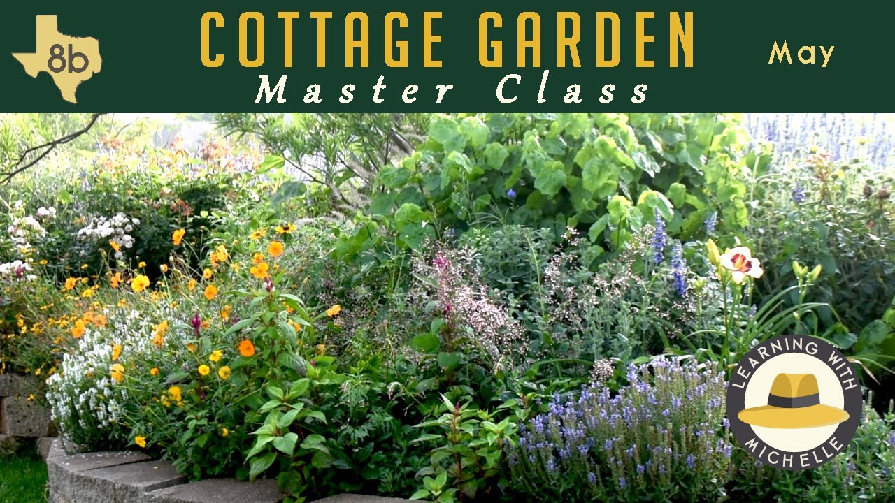 Экскурсия по садам техасских коттеджей | 5 ключевых моментов дизайна, которые имеют значение