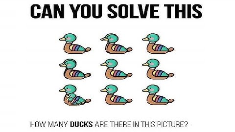 How many ducks are there in this picture | Can you solve this