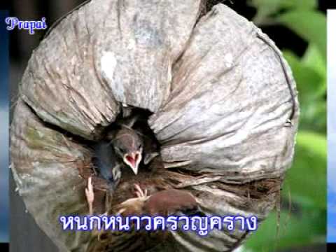 บทอาขยานฝนตกแดดออก