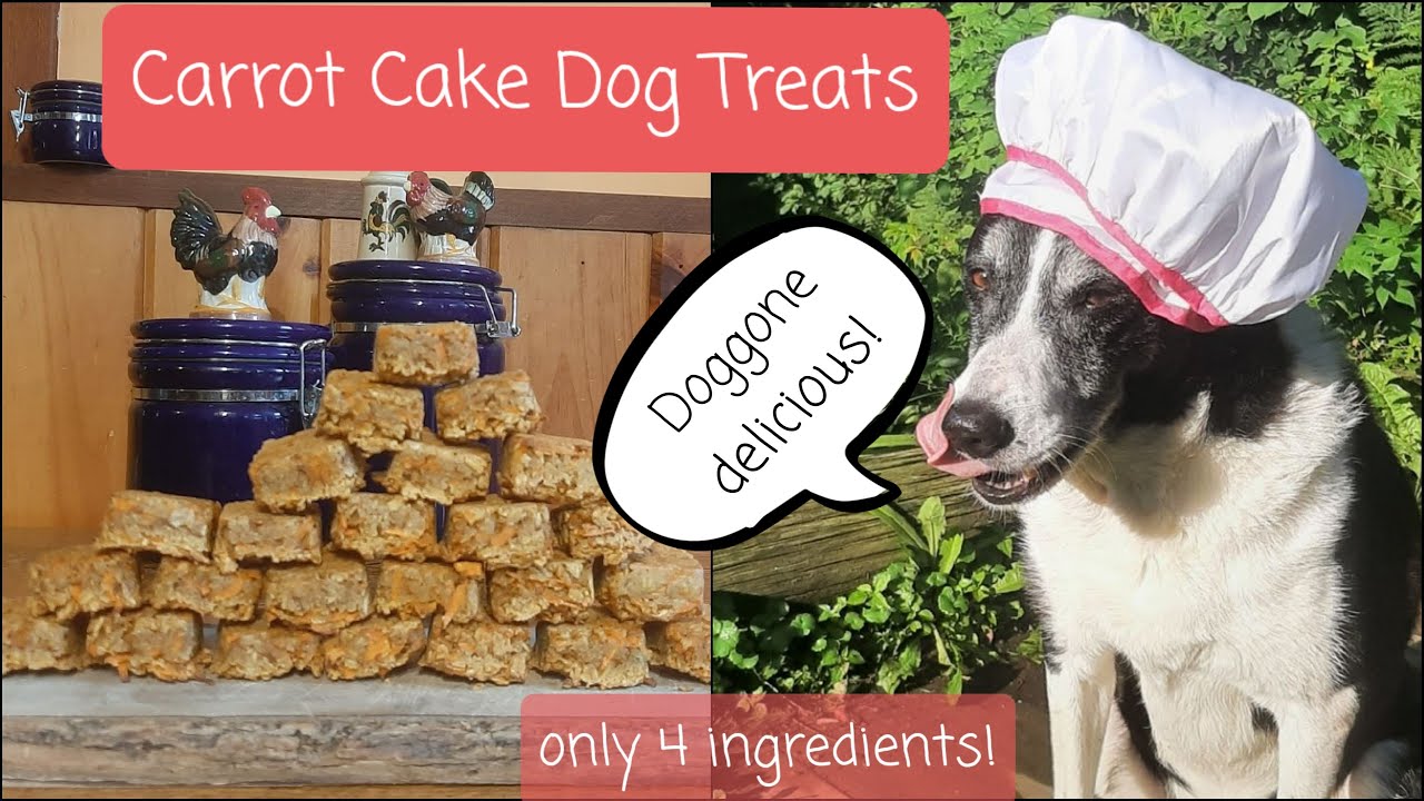 Easy Carrot Cake Dog Treats YouTube
