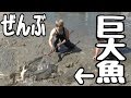 大量に巨大魚が捕れる場所に行ってみた