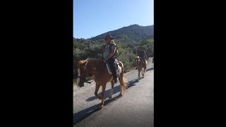 Kambaba - Devler Uyanıyor - Fragmanı