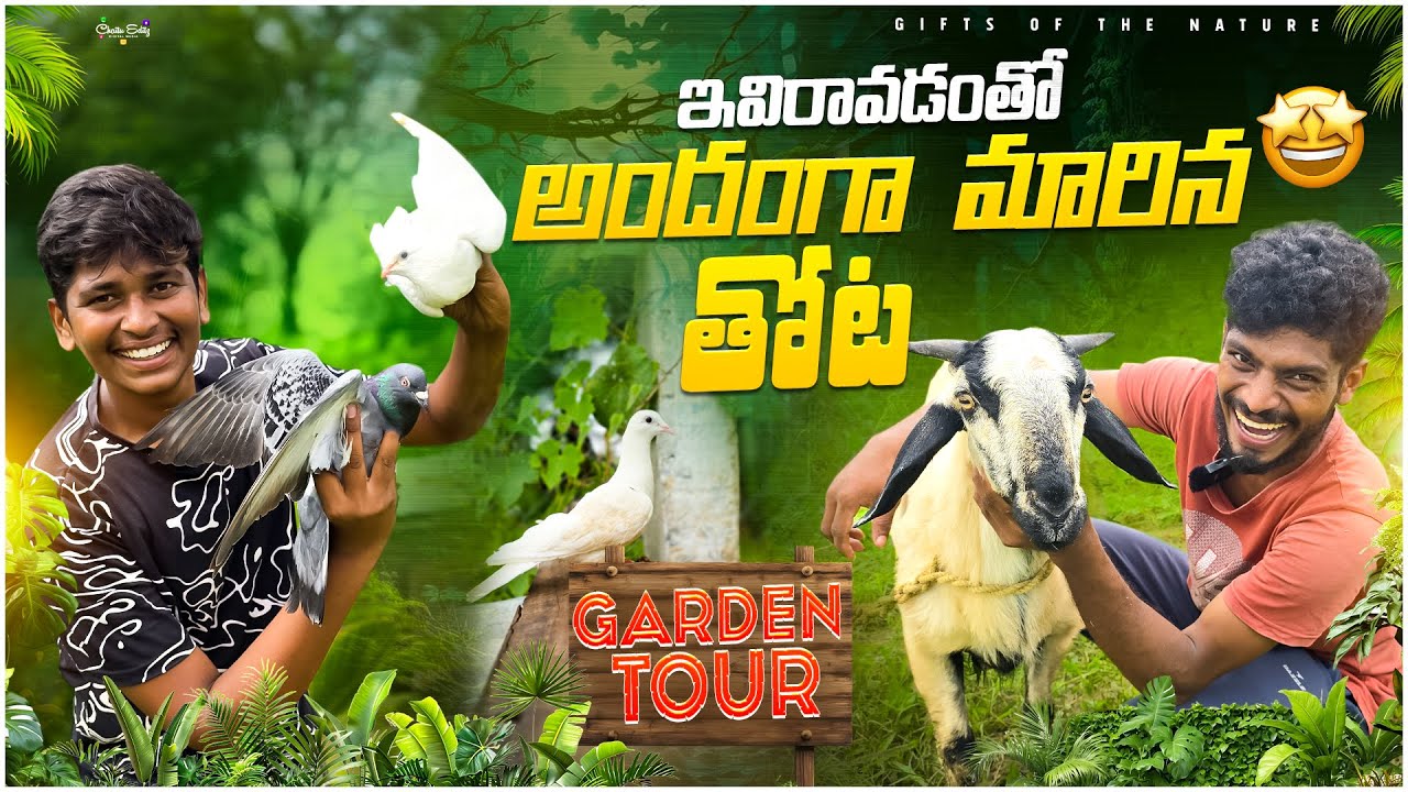 ఇప్పుడు మనతోట ఎలావుందో చూడండి🌳 || విజయ్ ఇక్కడ కొన్నిరకాల పెంపుడు జంతువులు పెంచుతున్నాడు #gardentour